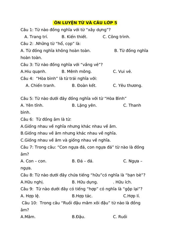 ÔN LUYỆN TỪ VÀ CÂU LỚP 5
