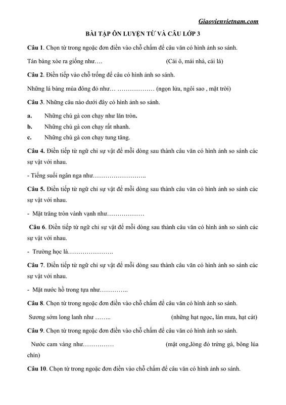 BÀI TẬP ÔN LUYỆN TỪ VÀ CÂU LỚP 3