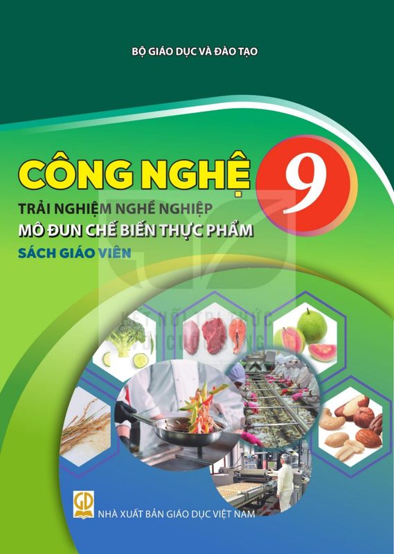 SGV Công nghệ 9 - Trải nghiệm nghề nghiệp - Mô đun Chế biến thực phẩm - Kết Nối Tri Thức