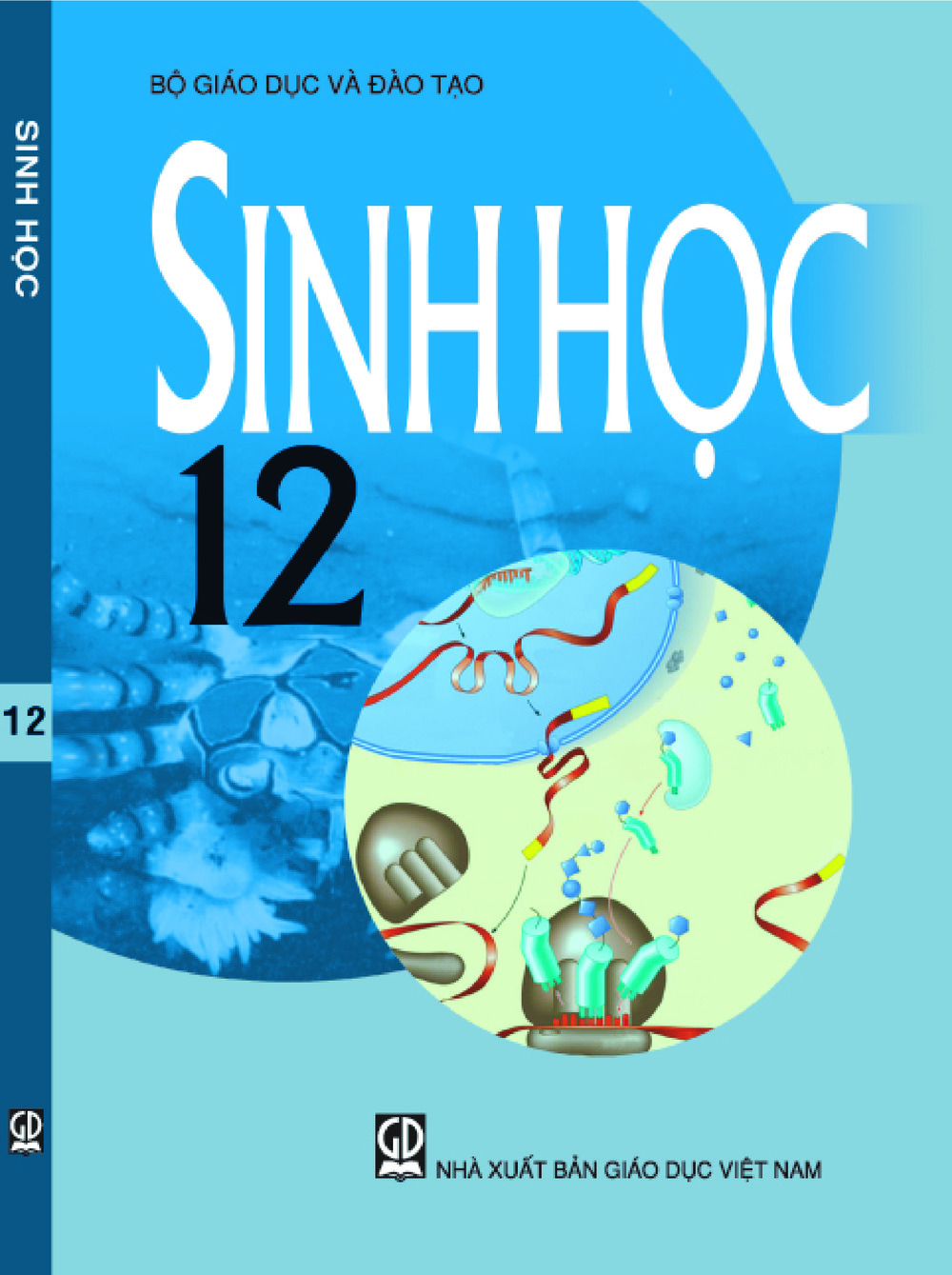 Sinh học 12