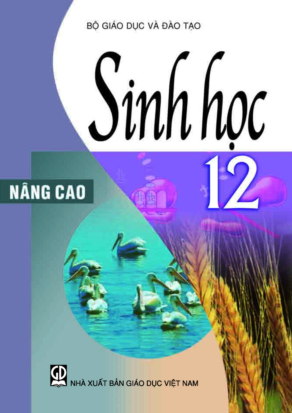 Sinh học 12 nâng cao