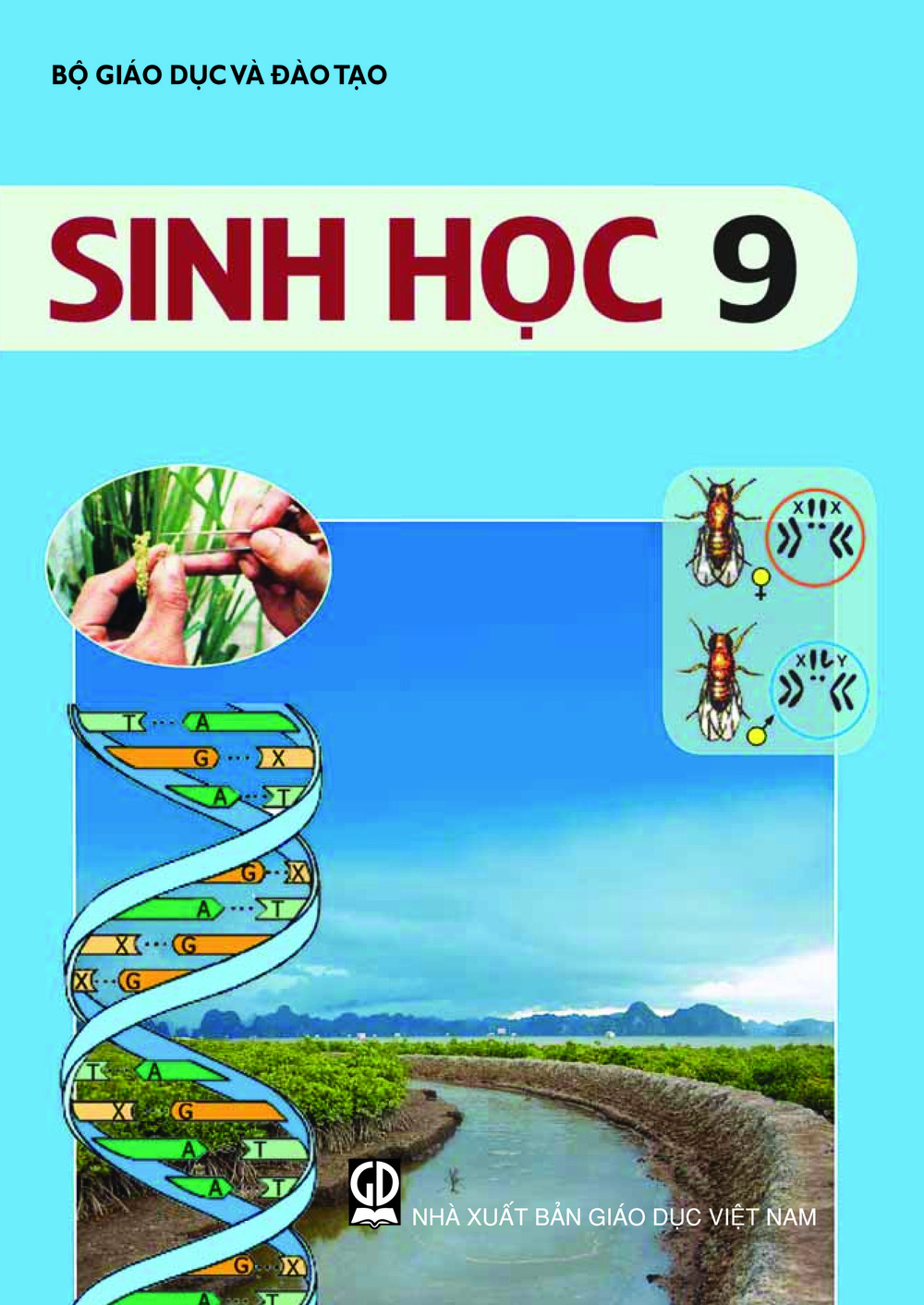 Sinh học 9 - chuẩn