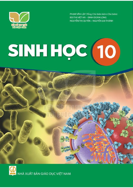 SGK Sinh học 10 - Kết Nối Tri Thức