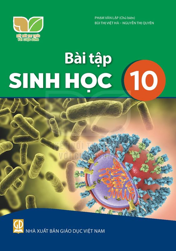 SBT Sin học 10 - Kết Nối Tri Thức