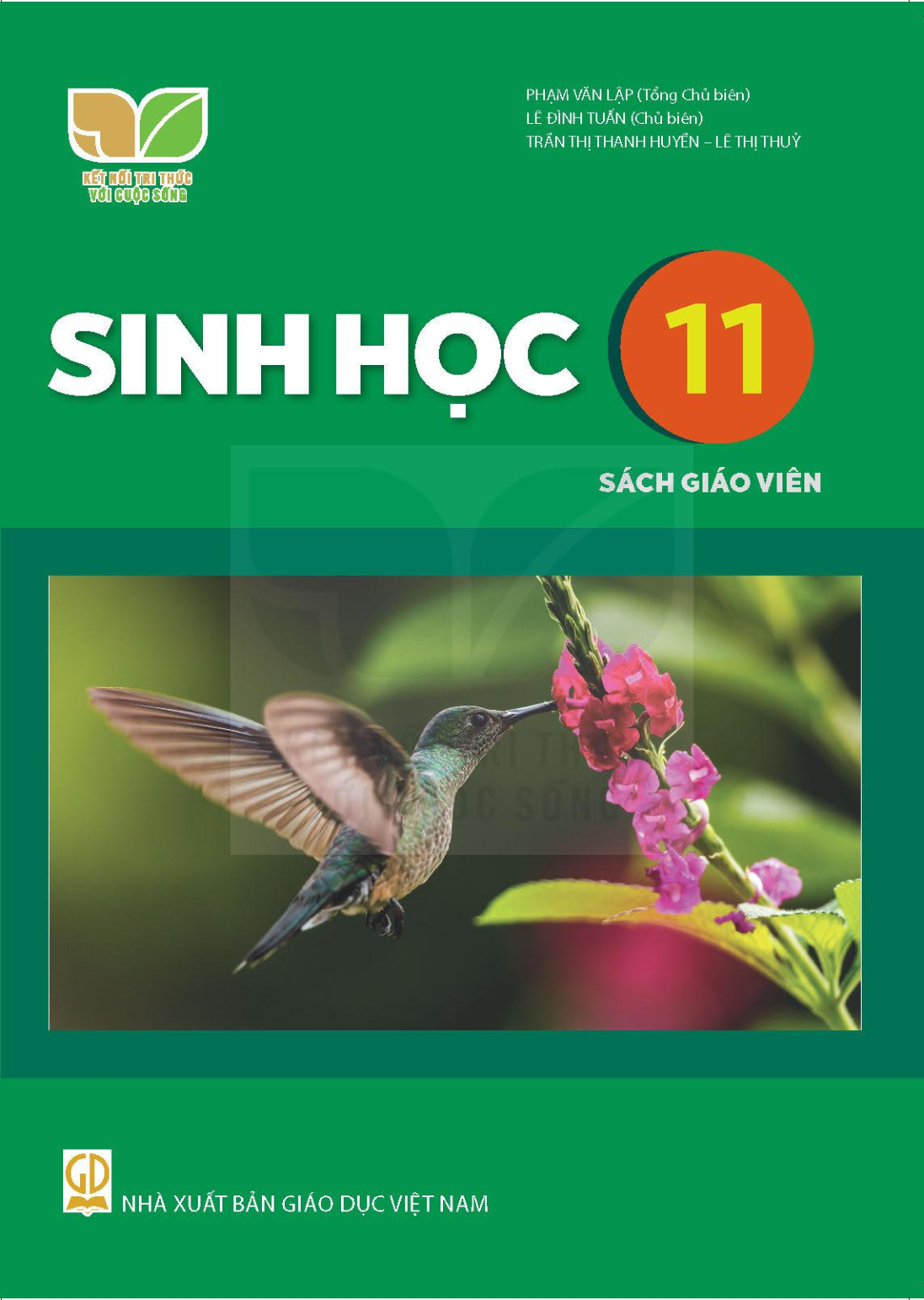 SGV Sinh học 11 - Kết Nối Tri Thức