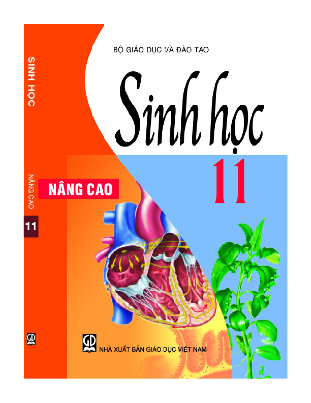 Sinh học 11
